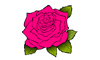 Evelyn Rose Appeal
