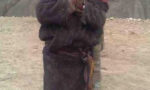 Thank you from Himalayan Orphans Welfare